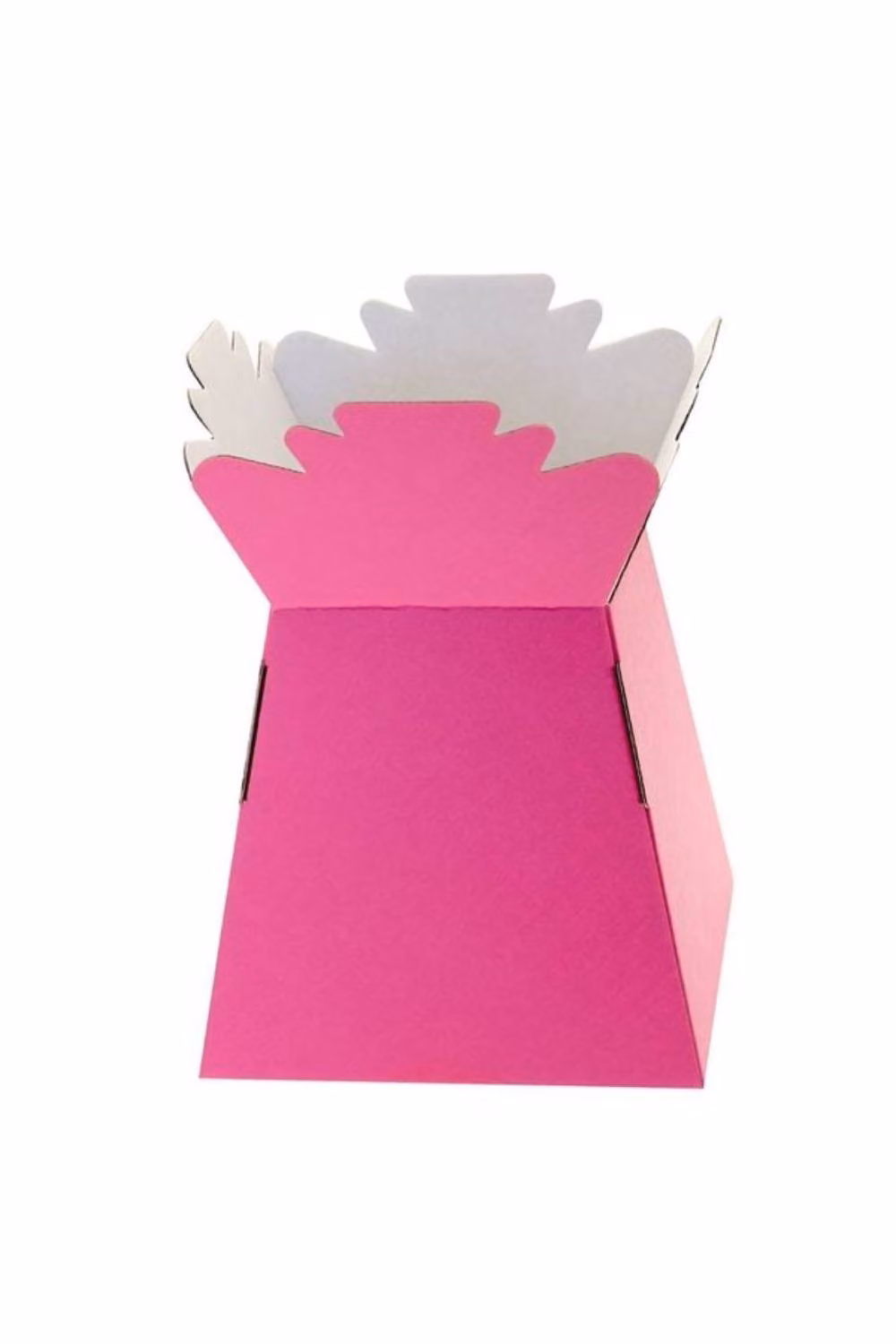 KDMD Pink Tabletop Living Vase – 2