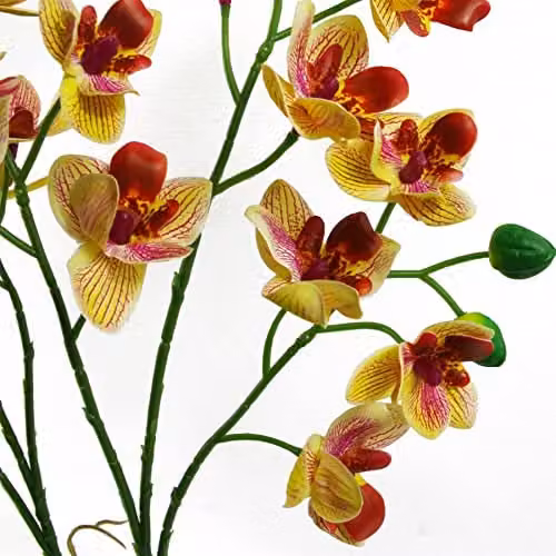 Leaf Pink and Yellow Artificial Orchid in a Ceramic Planter, Height: 43 cm – 4