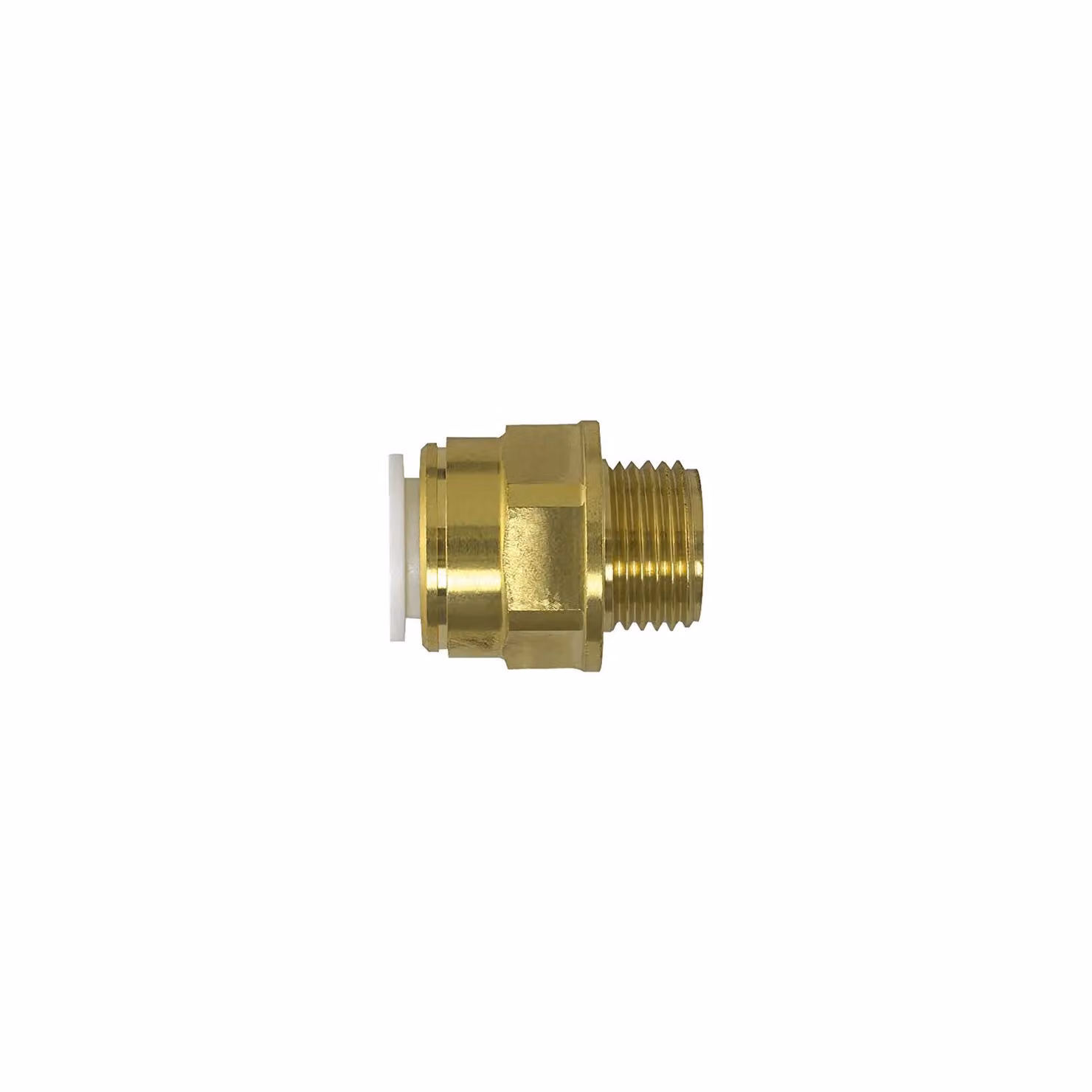 John Guest Brass Coupler 15mm x 1/2 inch Male BSP, Gold, Pack of 5 – 2