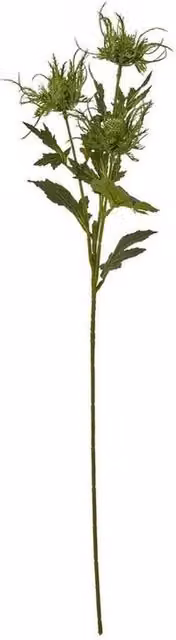 Lemon Pavilion Sea Holly Spray Single Stem Green Plastic, Height: 67 cm – 1