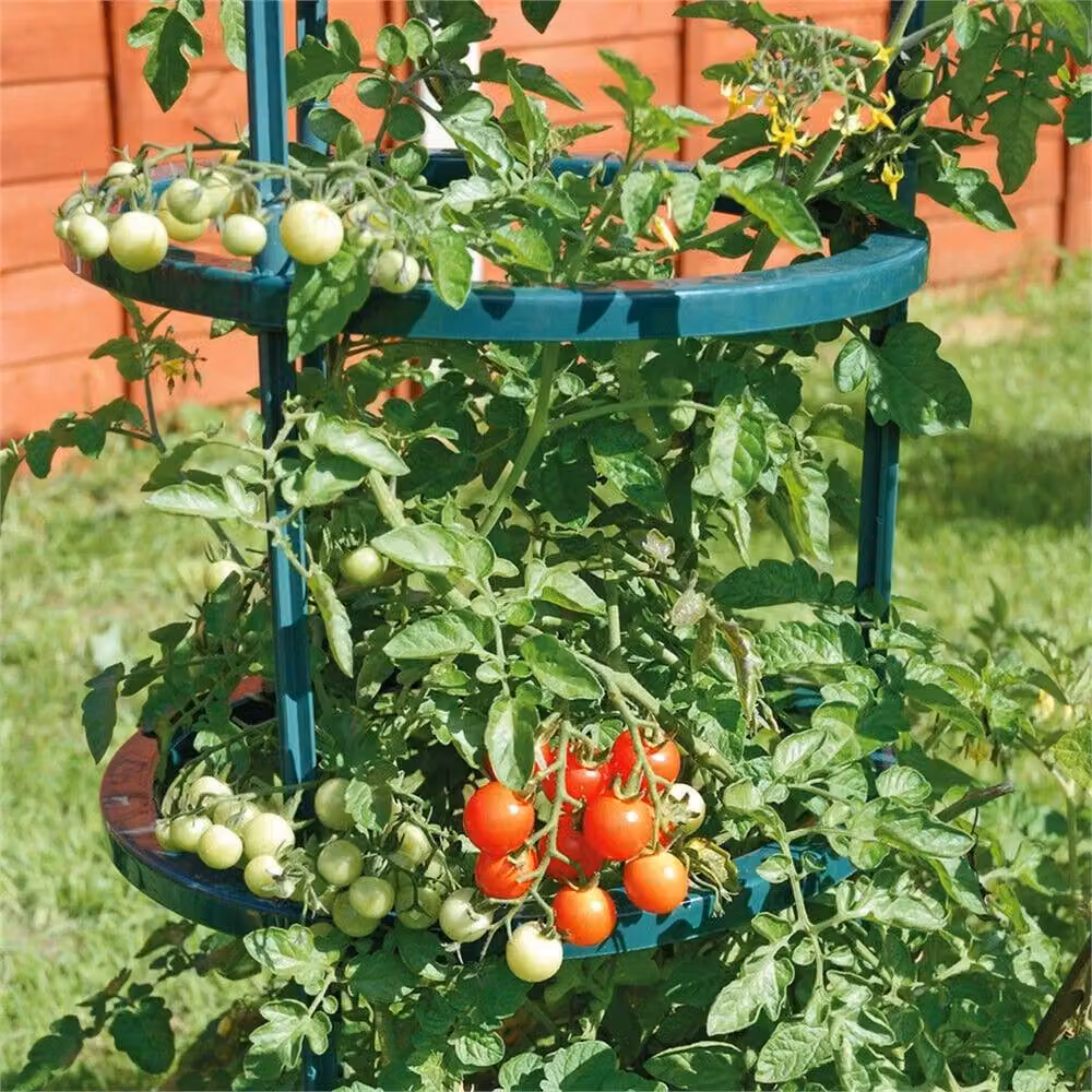Nordara Green Plastic Plant Stake for Tomato and Vegetable Garden Support – 2