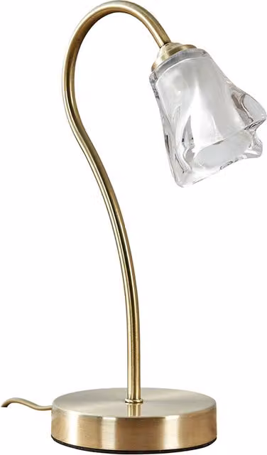 ValueLights Swan Neck Touch Table Lamp in Gold and Brass with Transparent Glass Dome