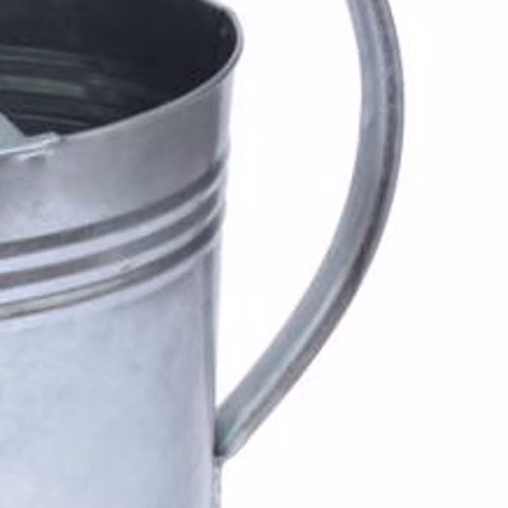 Ambassador Oval Galvanised Steel Watering Can in Silver with Brass Rose – 2