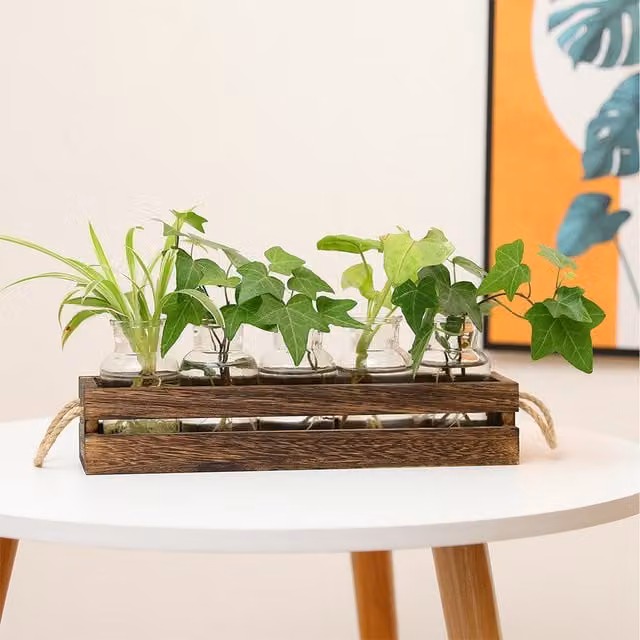 Lifeideas 5-Piece Glass Vase Set with Wooden Holder in Transparent and Brown
