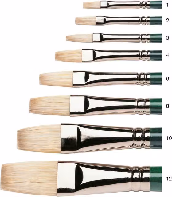 Winsor and Newton Winton Flat Long Handled Hog Brushes No. 6 Multicolour