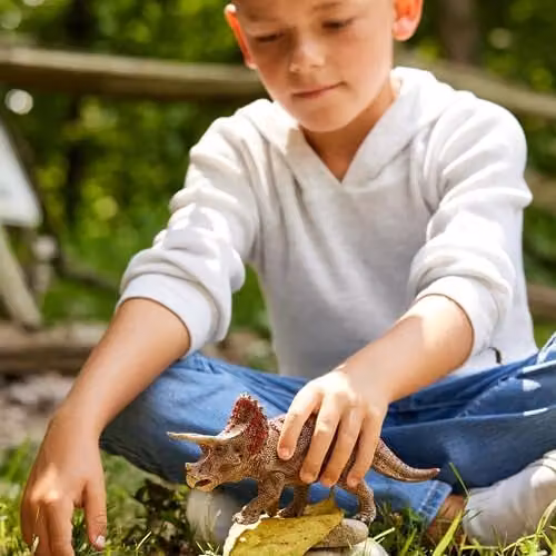 Schleich Triceratops Dino Figurine, Multicolour Static Animal Toy – 6