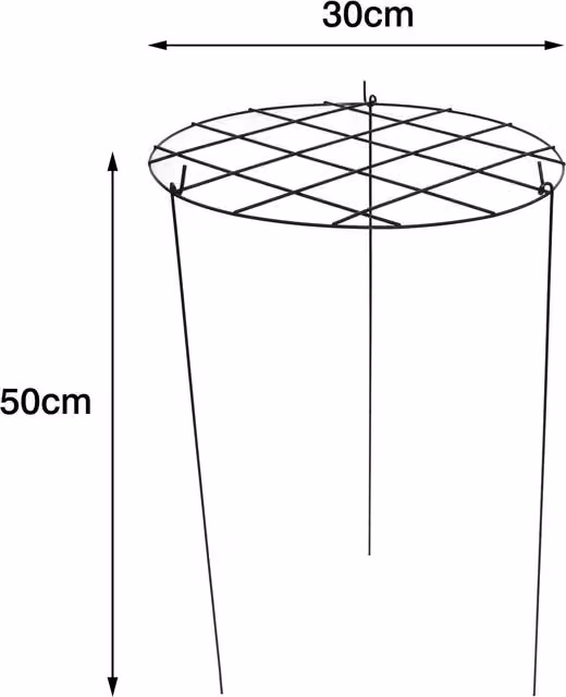 Garden Gear Green Medium Round Grow Through Grid Plant Support