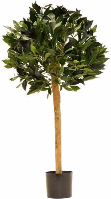 KDMD Green Bay Ball Potted Tree, Green, 2.5ft