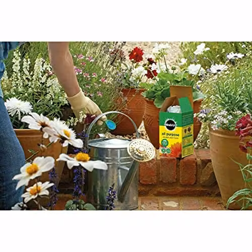 Miracle-Gro All Purpose Plant Food 1kg – 2