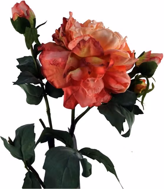 Dyzi Pink Peony Artificial Flower Stem, Height: 60 cm