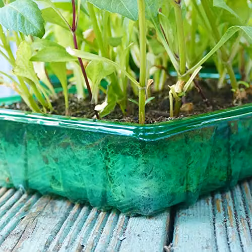 Gro-Sure Visiroot Seed Trays, 4 Pack, Brown – 3