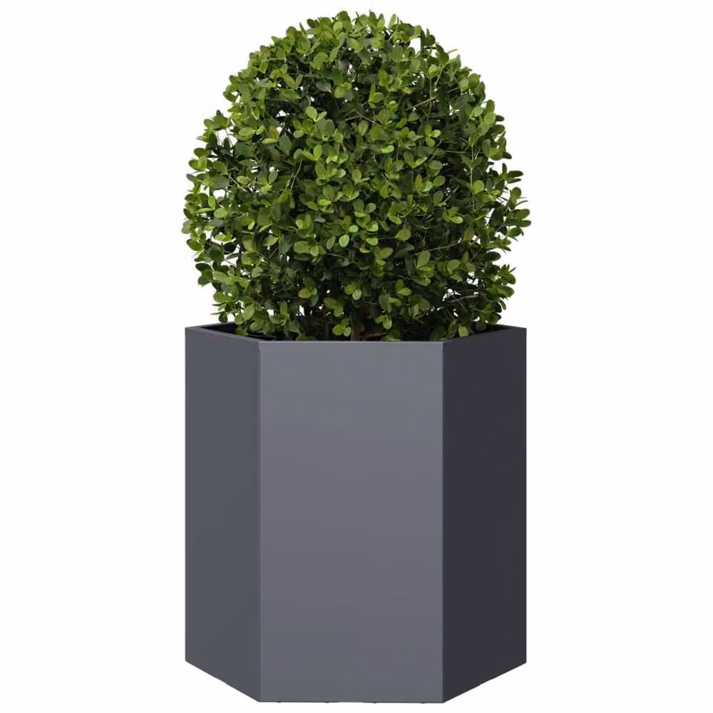 Berkfield Home Anthracite Hexagon Steel Garden Planter, W: 46 cm, D: 40 cm, H: 45 cm – 3
