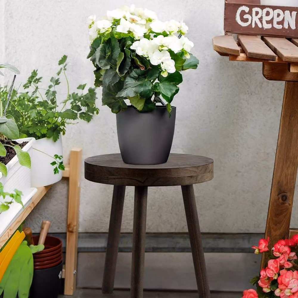 Kelvenix Rustic Pine Wooden Plant Stand and Side Table in Dark Brown, W/D/H: 35 x 30 x 40 cm – 5