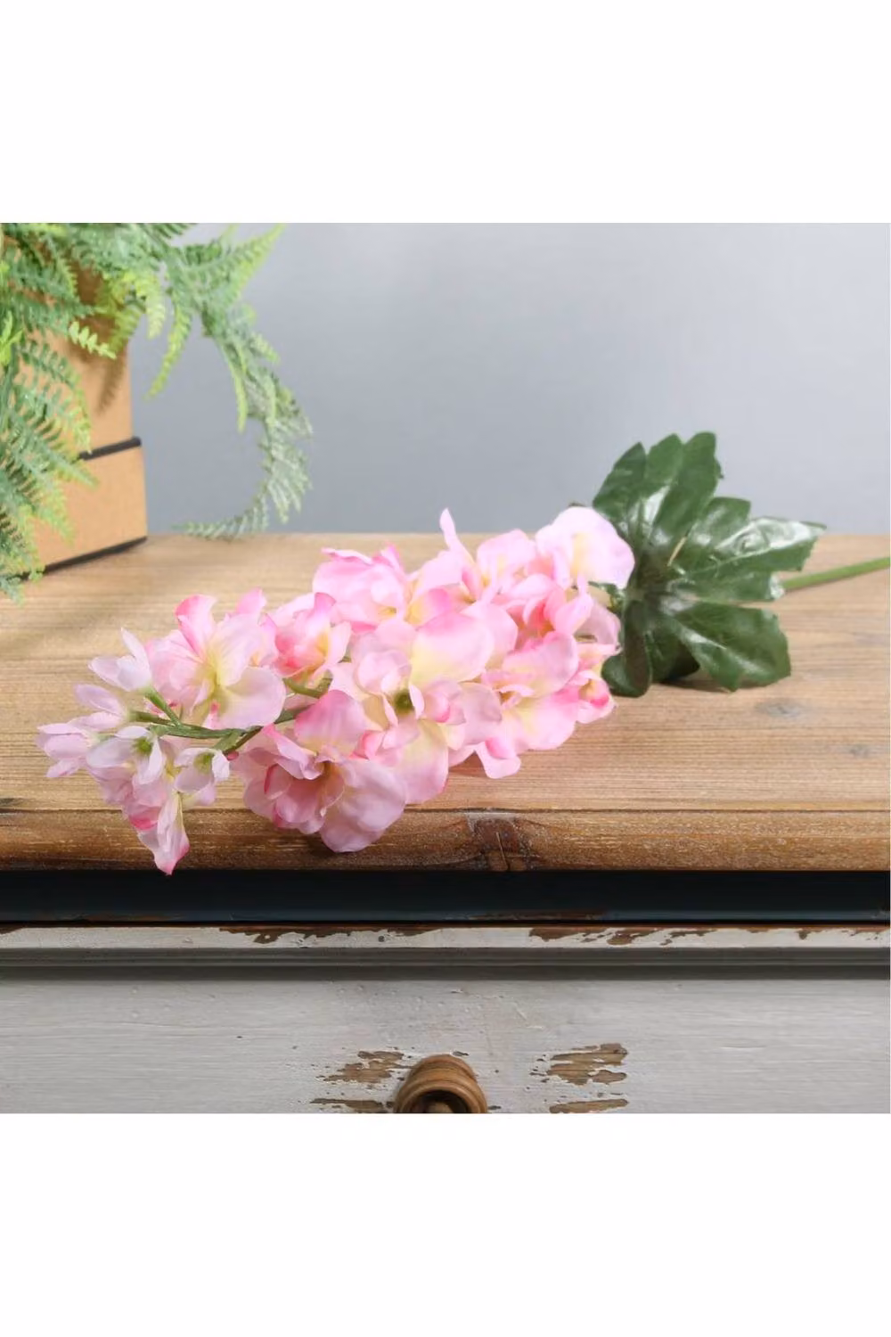 KDMD Essential Pink Arundel Garden Delphinium, 3 Pack, Height: 77 cm – 2