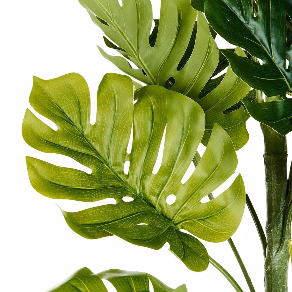 Wyld and Coco Monstera 221 cm Artificial Plant in Green Cement Pot – 3
