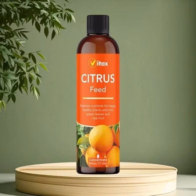 Vitax Liquid Citrus Fruit Plant Feed Concentrate 250ml Makes 50L