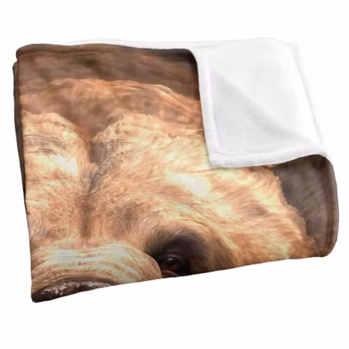 JQ Licensing Royce Mcclure Grizzly Bear Head Super Soft Silky Touch Fleece Throw Blanket, Multicolour, W/D/H: 91 x 147 cm – 2
