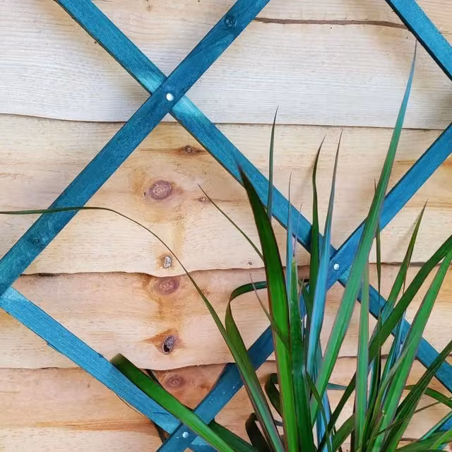 Ambassador Green Expanding Trellis Support, W: 60.96 cm, H: 182.88 cm