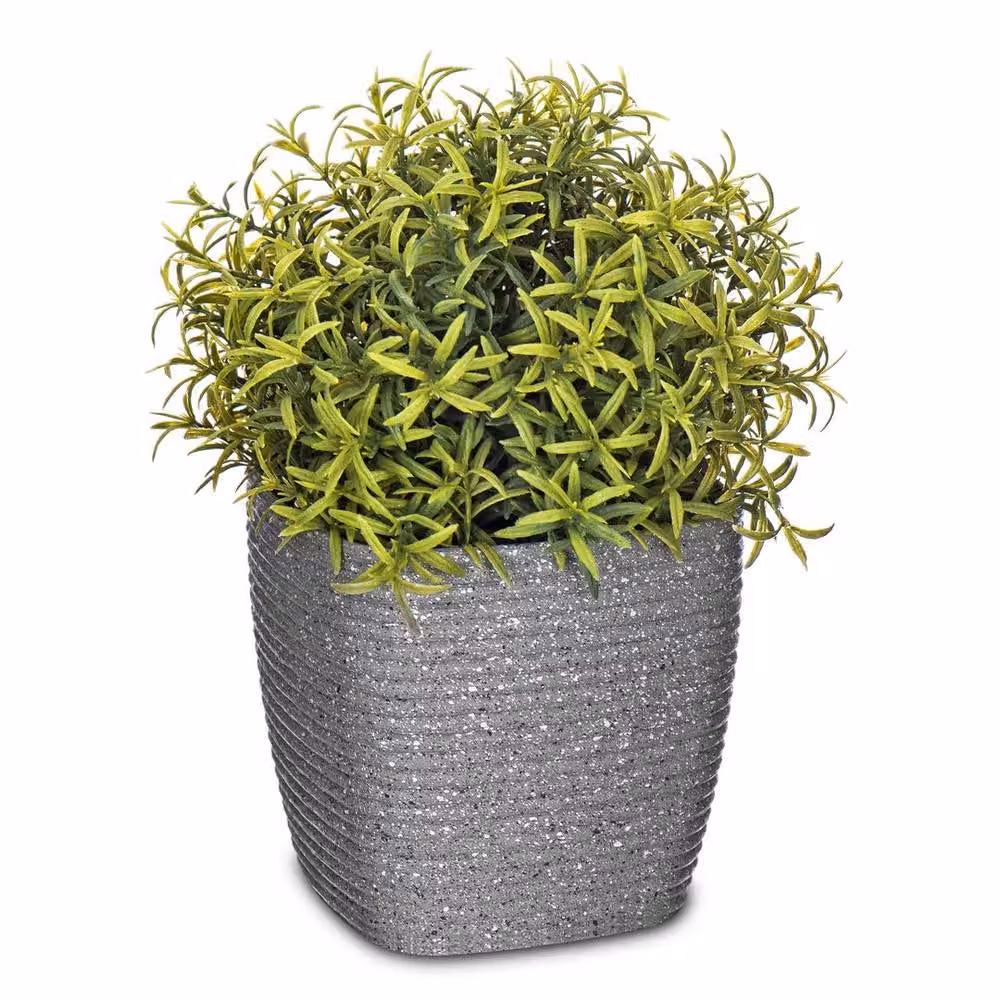 Kelvenix Set of 3 Grey Sandstone Tabletop Plant Pots – 2