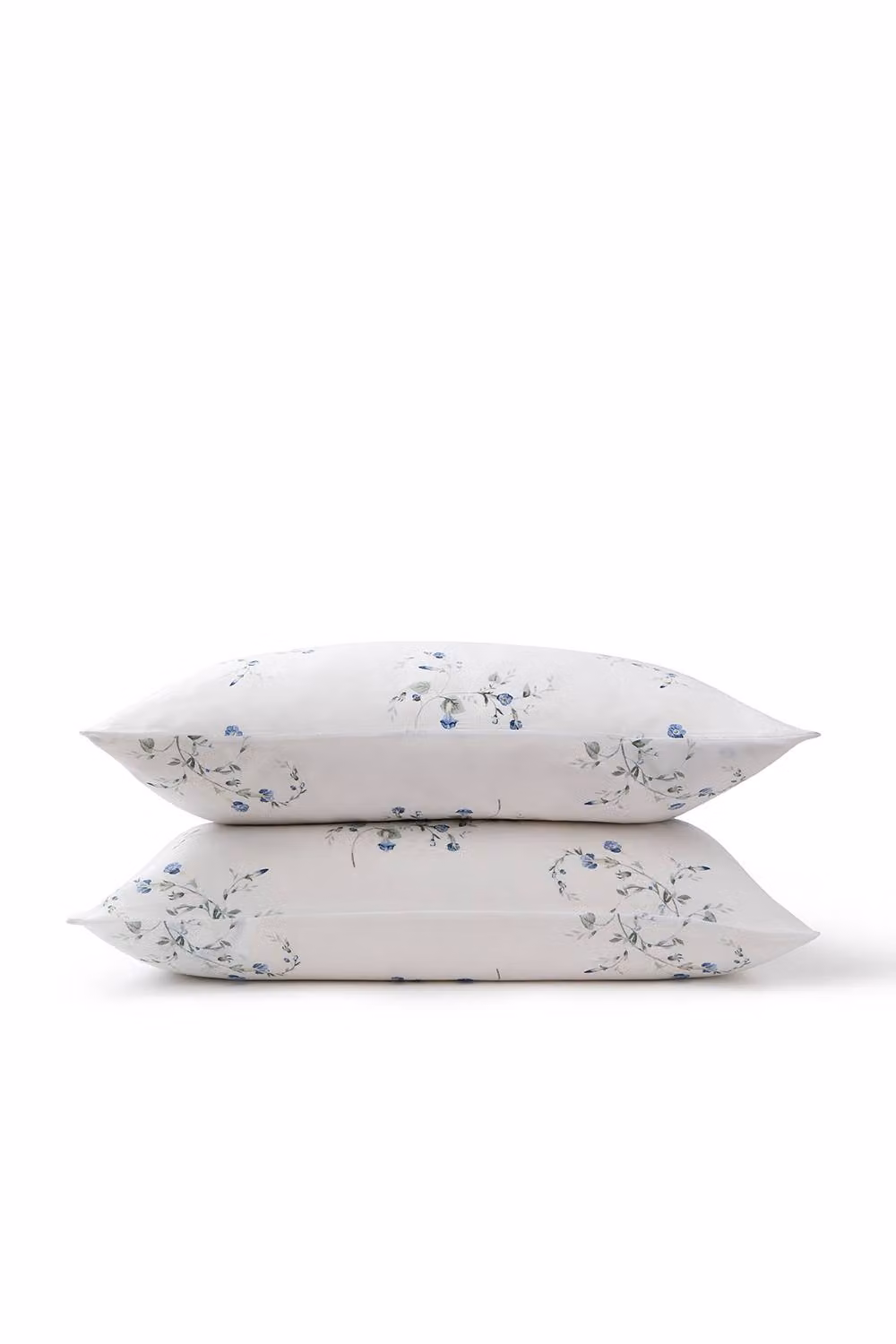 Christy Forget Me Not Wildflower Design Cotton Sateen Standard Pillowcase Pair in Blue and White – 2