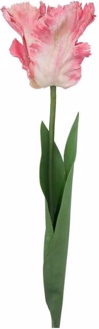 KDMD Pink Parrot Variety Artificial Tulip Floral Arrangement