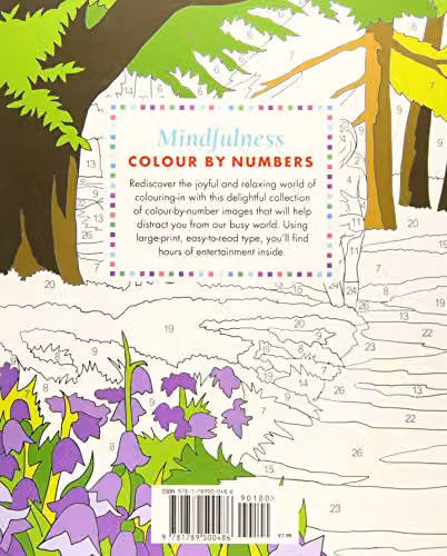 Arcturus Mindfulness Large Print Colour by Numbers Book for Seniors – 2