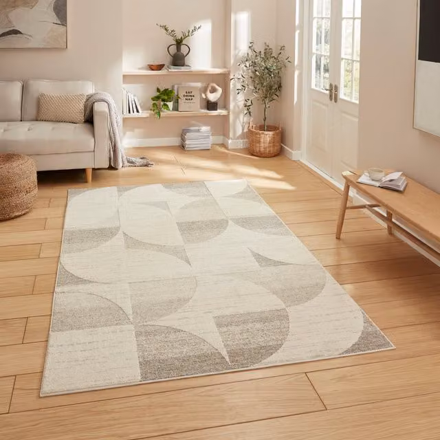 Terrys Modern Abstract Multi Textured Pile Rug in Beige