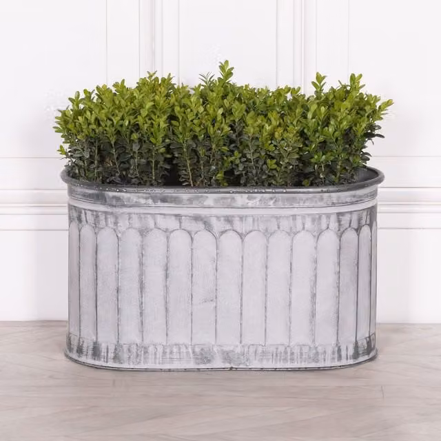 Glasstone Geometric Arched Pattern Metal Tabletop Planter, White, W/D/H: 28.5 x 30.0 x 30.0 cm