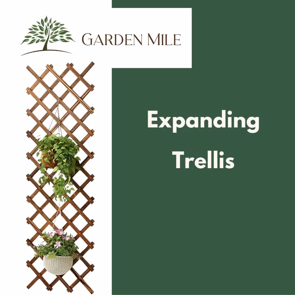 Marco Paul Heavy Duty Expanding Trellis in Brown, W: 180 cm, H: 60 cm – 2