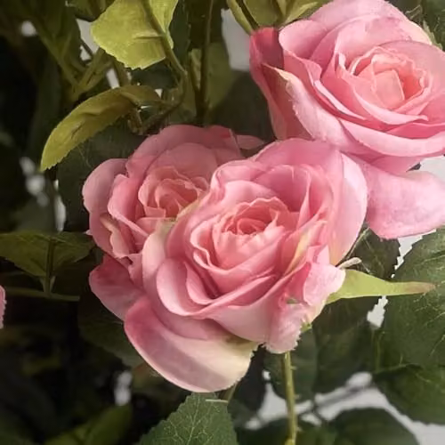 Botanik UK Pink Rose Artificial Flowering Tabletop Tree H 60 cm x W 30 cm x D 30 cm – 2
