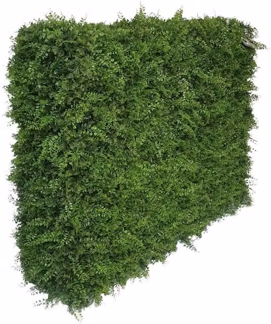 True Products Premium Freestanding Artificial Mixed Fern Hedge in Two Tone Green, W/D/H: 106 x 33 x 108 cm