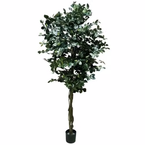 LeafUK Green Fire Resistant Artificial Olive Tree, Height: 180 cm – 1