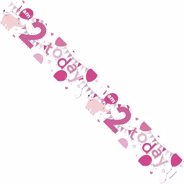 KDMD Birthday Girl 2 Today Multi-Coloured Banner Pack of 12