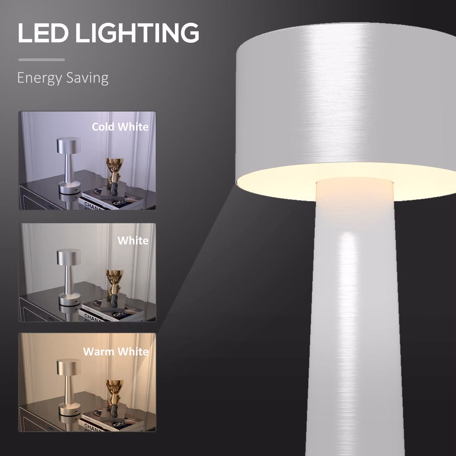 HOMCOM 2 Pack Cordless LED Table Lamps in Silver with Touch Control and Rechargeable Battery – 4