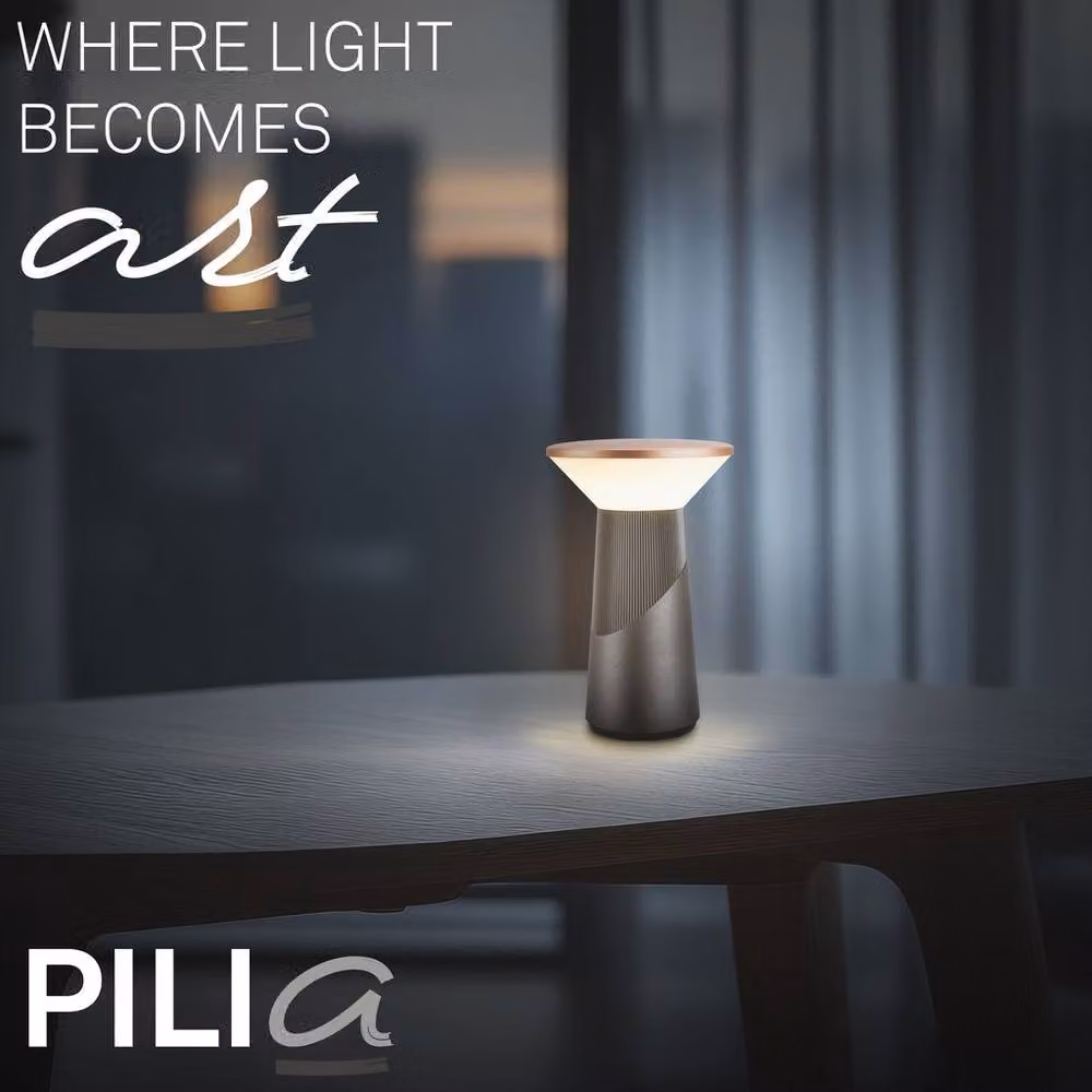 Briloner Pilia Rechargeable LED Table Lamp, Dimmable Touch Control, IP44 Rated, Anthracite Bronze Metallic, H 24 cm x W 15 cm x D 15 cm – 2