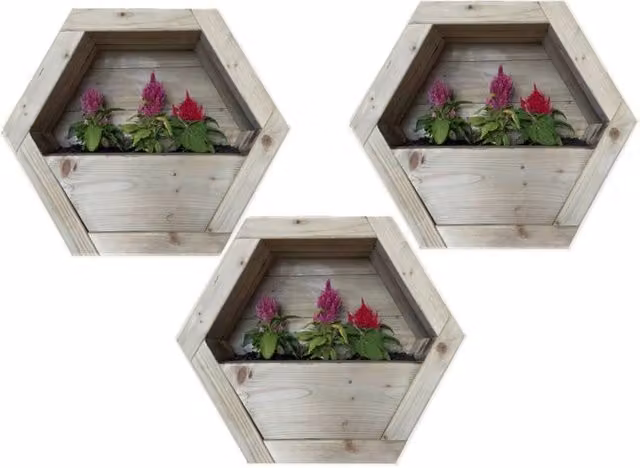 Buttercup Farm Set of 3 Medium Hanging Wooden Hexagon Wall Planters in Brown