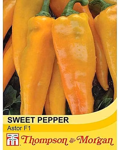 Thompson & Morgan Astor Sweet Pepper Seeds, 8 Seeds per Packet, Multi-Colour Vegetable Garden Plants