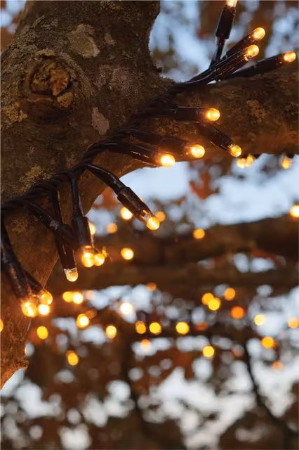 Xmas Haus LED Christmas Cluster Lights in Black and Copper Gold with Rubber Cable, IP65 Rated, 15m