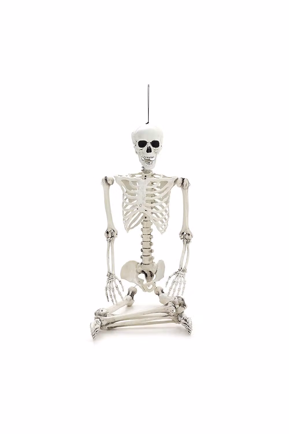 H&O Direct Realistic Full Body Skeleton Halloween Decoration with Posable Joints, White, Height: 170 cm – 2