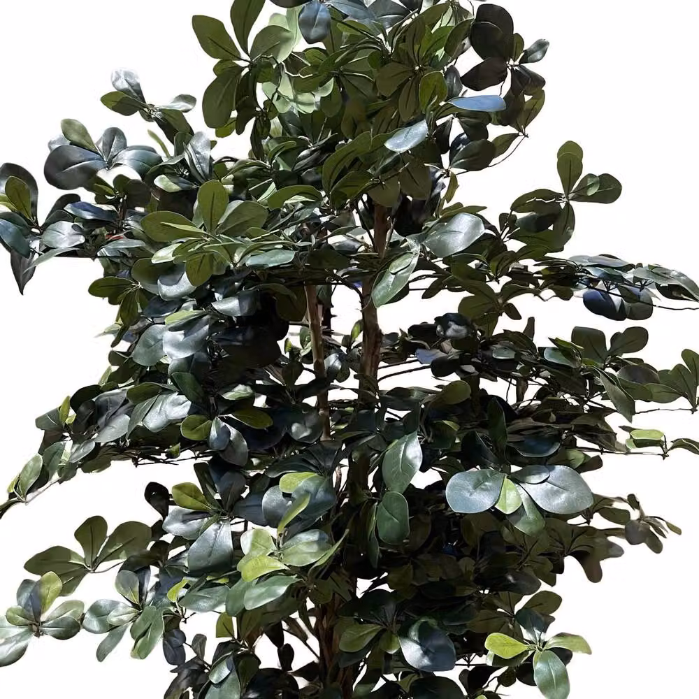 Botanik Leaf 180cm Artificial Fire Retardant Black Olive Tree in Green – 2
