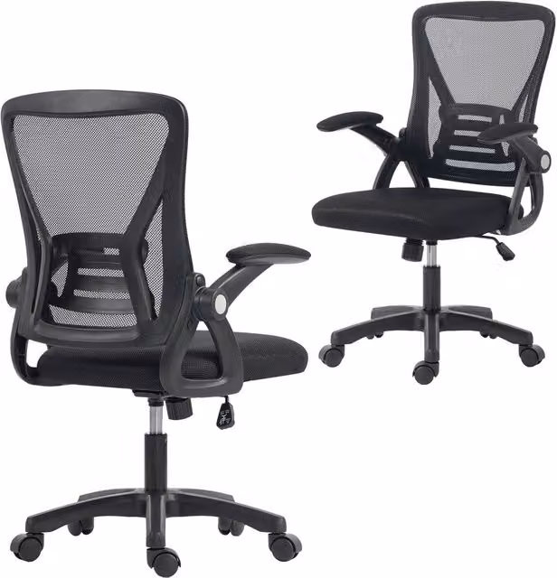 Rolipo Mesh Office Chair with Lumbar Support and Flip-Up Armrests in Black