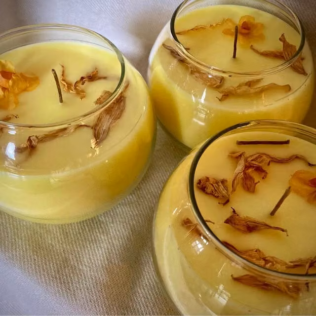 Clachaig Candles Ltd Yellow Daffodil Scented Organic Soy Wax Tabletop Bowl Candle