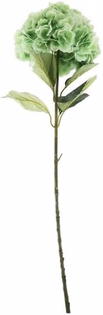 KDMD Essential Light Green Giant Hydrangea Floral Arrangement