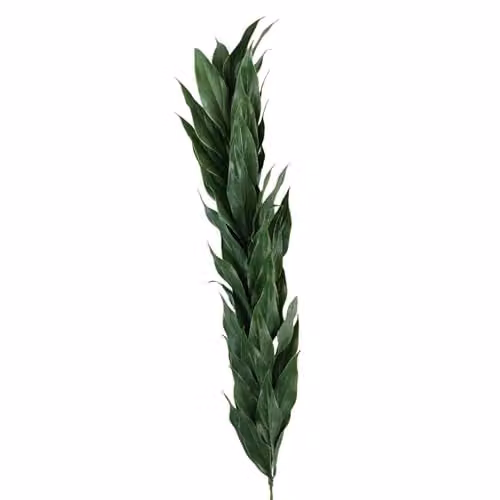 Green Leaf Design Artificial Floral Plant, 100 cm