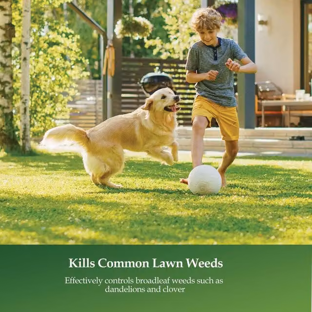 Vitax Lawn Clear Feed and Weed 200 g
