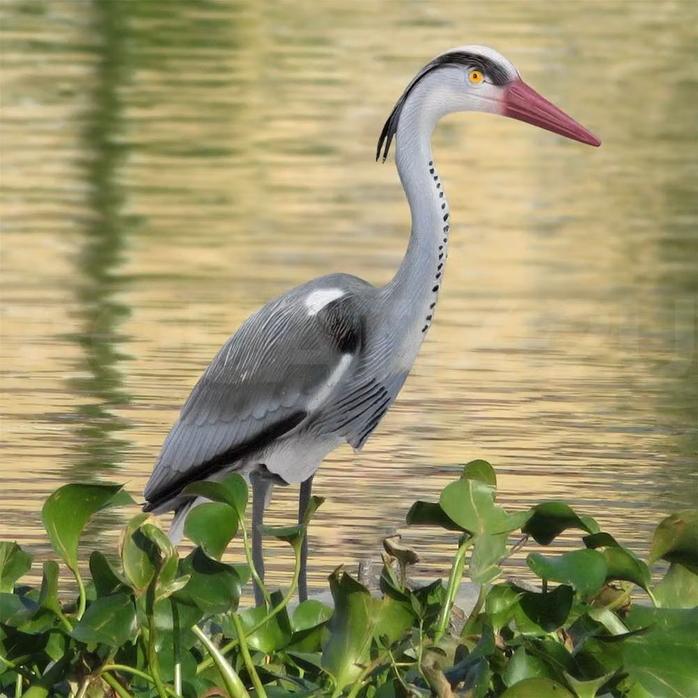Havendro Multicolour Decoy Heron Bird Deterrent for Pond and Garden – 2