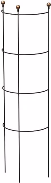 Primrose Black Steel Modern Farmhouse Half Round Vegetable Garden Support