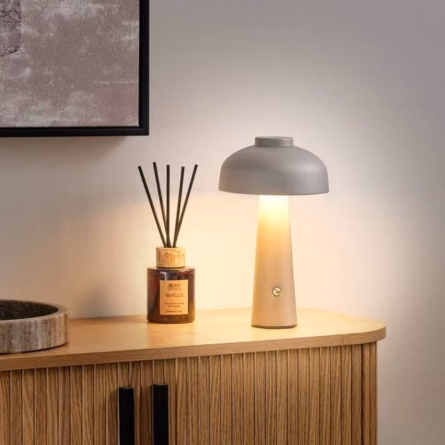 Wyld and Coco LED Wireless Dimmable Table Lamp in Grey Metal Mushroom Design