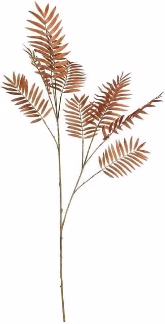 KDMD Botanica Brown Chamaedorea Palm Branch, Height: 125 cm