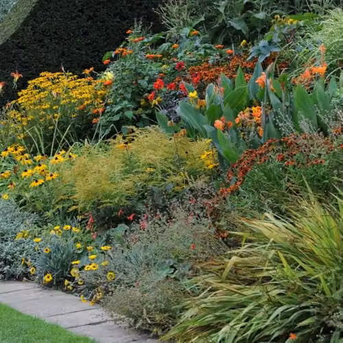 Thompson and Morgan Nurseryman’s Choice Perennial Cottage Garden Collection, 3 x 9cm Potted Plants in Red and Multicolour Varieties – 2